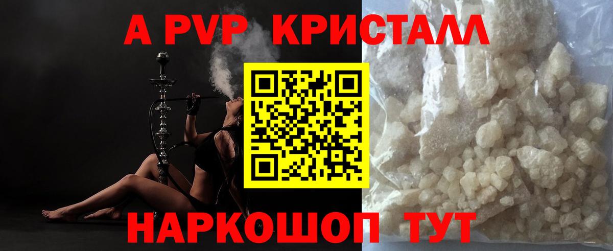 Альфа ПВП СК Кисловодск