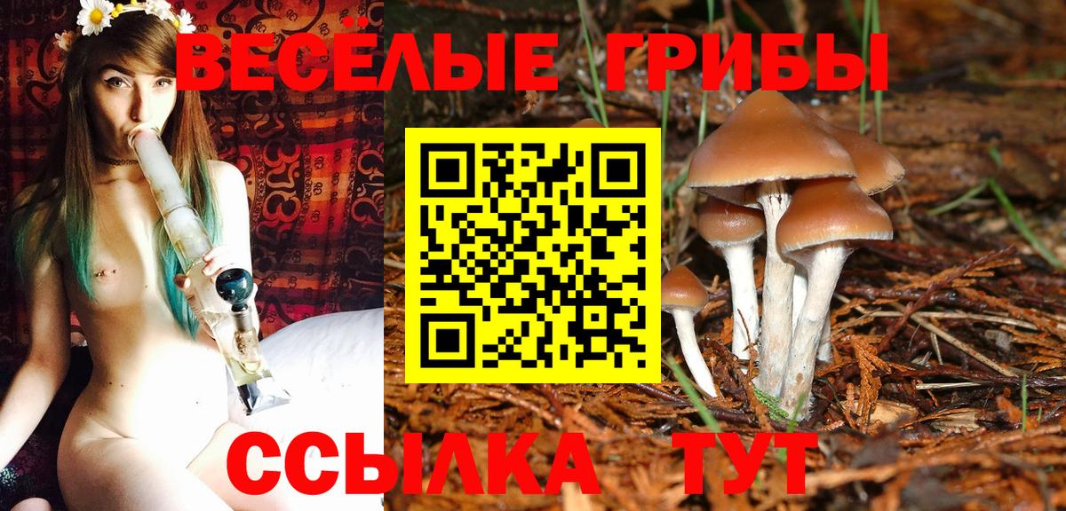 Галлюциногенные грибы прущие грибы Кисловодск